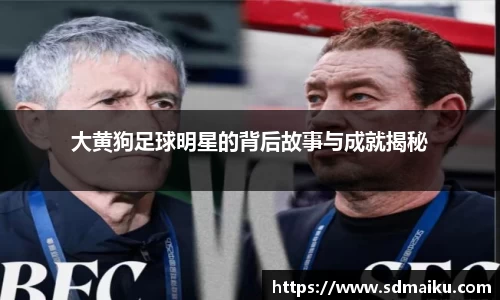 大黄狗足球明星的背后故事与成就揭秘